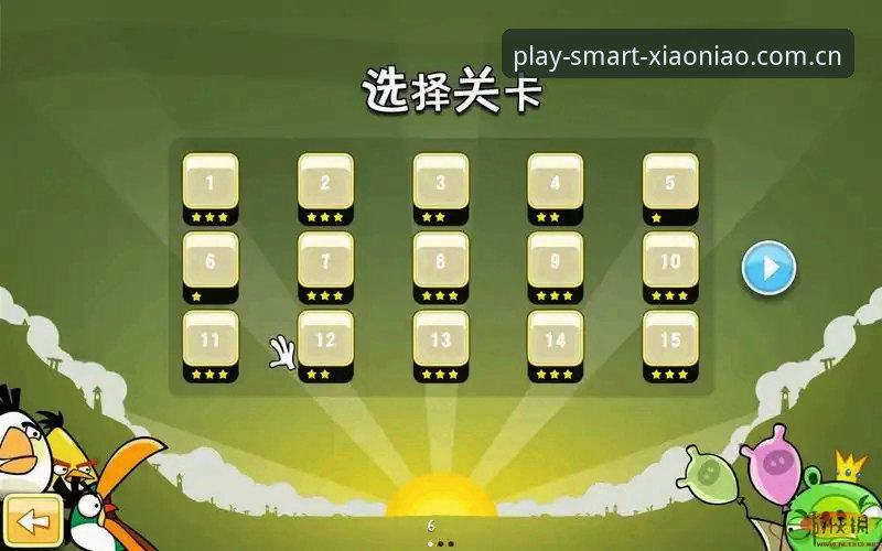 小鸟体育平台使用评测：注册流程中的设计逻辑与效率分析
